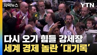 자막뉴스 역사적인 강세장에 세계 경제 깜짝역대 최고치 임박  YTN [upl. by Innig]