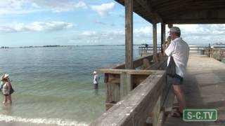 Sanibel Fishing Pier [upl. by Cown]