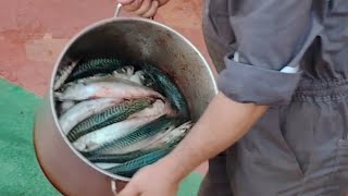 Nag Anchorage kami Ang daming nahuling isdang Mackerel [upl. by Caresse]