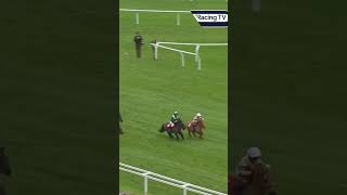 Incredible renewal of the Shetland Pony Race horse horseracing racingtv sport [upl. by Viviyan714]