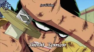 Top 5 Roronoa Zoro Sử Dụng Skill Shishi Sonson One Piece [upl. by Margaretha]