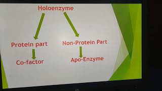 Confusions of HoloenzymeApoenzymeCoEnzymeCofactor [upl. by Eylloh]