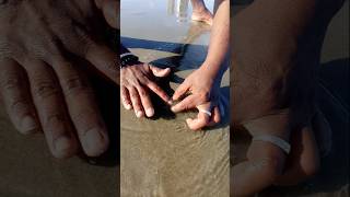 Unbelievable Catching with Empty Hand fishing fishingvideos seafishing thoondilulagam [upl. by Acirehs834]