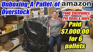 Unboxing a pallet of Amazon overstock  I paid 700000 It had food Electronics pet items and more [upl. by Faunie986]