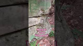 Westwall Bunker Hürtgenwald adventure wald природа природа westwall [upl. by Aciraj393]