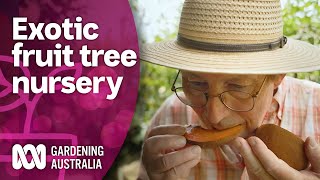 We Taste Exotic Fruits at a SubTropical Nursery  Discovery  Gardening Australia [upl. by Tressia]