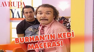 Burhanın Kedi Macerası  Avrupa Yakası [upl. by Cristobal]