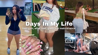 6AM Productive Days In My Life🎧🎀 Gym Vlog What I Eat Car Maintenance Grwm… [upl. by Ettedanreb808]