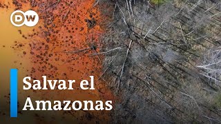 ¿Podrá Brasil salvar el Amazonas esta vez [upl. by Amitak]