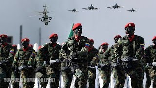 Venezuela Independence Day parade 2019 Best Moments  Desfile Cívico Militar [upl. by Snah921]