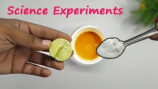 4 Easy Science Experiments to do at Home  Simple Science Experiments and School Magic Tricks [upl. by Wilkie782]