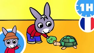 🐢 Trotro trouve une tortue  🐢  Dessin Animé pour Bébé [upl. by Yngiram]