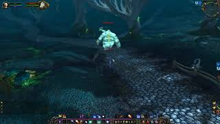 Knucklerot Spawn location amp Patrol path WoW TBC [upl. by Ellinnet]