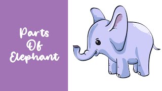 parts of Elephants English Vocabulary [upl. by Gregg]