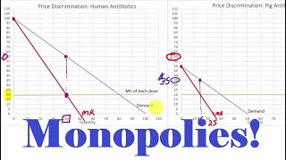 Details about Monopolies Full Lecture [upl. by Mehetabel]