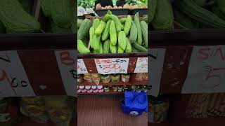 Vegetables in Australia shorts youtubeshorts vegetables telugu shortsfeed short love shorts [upl. by Col]