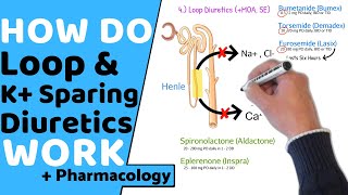 How do Loop amp Potassium Sparing Diuretics Work  Pharmacology [upl. by Anas]