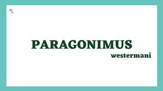 Paragonimus westermani  Lung fluke  Paragonimiasis  Morphology Life Cycle Diagnosis amp Treatment [upl. by Harmonie511]