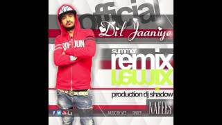 DIL JAANIYE  Nafees Singer  DJ Shadow  Summer Hit  OFFICIAL REMIX [upl. by Hodgson]