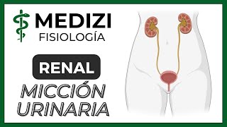 Clase 56 Fisiología Renal  Micción urinaria IGdoctorpaiva [upl. by Adnelg68]