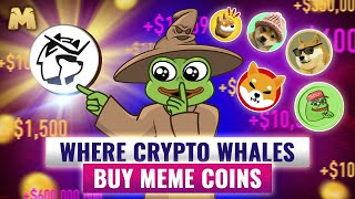 Why Bots Are Best To Buy Meme Coins  MemeFi Shares [upl. by Utas]