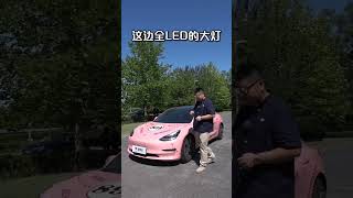 粉猪特斯拉Model 3见过吗？今天就来带老铁看看这台40W的进口特斯拉Model 3，大家喜欢吗？特斯拉 model3 新能源汽车 进口汽车 说车 二师兄官方 [upl. by Funda]