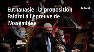 Euthanasie  la proposition Falorni à lépreuve de lAssemblée [upl. by Yentyrb]