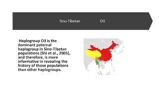 Human Ychromosome DNA haplogroup and languages family [upl. by Elroy]