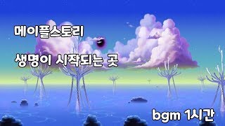 메이플스토리 생명이 시작되는 곳 bgm 1시간 [upl. by De]