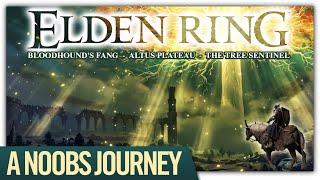 Elden Ring newbie  Upgrading the Bloodhounds Fang  Altus Plateau  The Tree Sentinel [upl. by Outlaw]