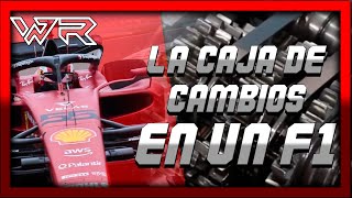 Como Funciona la caja De cambios de un f1 [upl. by Sweet]