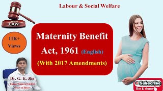 LSW Maternity Benefit Act 1961 in English [upl. by Tsew]