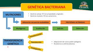 TEMA 2 Y 3 CLASIFICACIÓN Y GENÉTICA BACTERIANAESTERILIZACIÓN Y DESINFECCIÓN PRIMERA PARTE [upl. by Hluchy89]