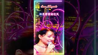 【安平追想曲 蔡幸娟】台湾闽南语金曲福建老歌怀旧名曲 Delphine Tsai 【Anping Reminiscence】 Nostalgic Hokkien Classic Hits [upl. by Yennej324]