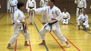 Okamotosensei demonstrates maegeri as deaiwaza [upl. by Icnan]