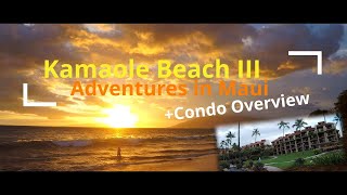 Save Your  amp Stay in Kihei  KAMAOLE BEACH III  Condo Overview  Adventures in Maui [upl. by Ahtis421]