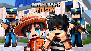 Escape From Prison In Minecraft [upl. by Jenni504]