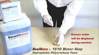 Crack Injection Repair Foam SealBoss 1510 LeakSeal Foam [upl. by Nrublim]