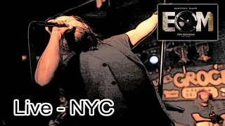 Electric Mary  Helter Skelter  Live NYC [upl. by Magnolia82]