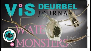 Visdeurbel Journaal  Week 16 Water Monsters [upl. by Omidyar]