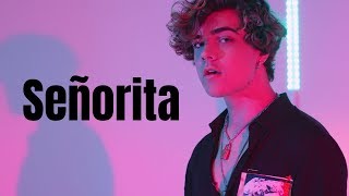 Shawn Mendes Camila Cabello  Señorita Cover by Alexander Stewart [upl. by Broome]