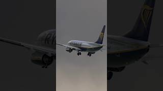 Ryanair 737800 Takeoff from Cork Airport 🇮🇪  MSFS World Update 17 msfs2020 aviation b737 [upl. by Sucramd]