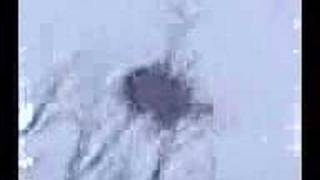 The only Authentic genuine Yeti Abominable Snowman footage [upl. by Herrington]