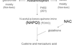 Acetaminophen Toxicity  Poisoning [upl. by Kernan656]