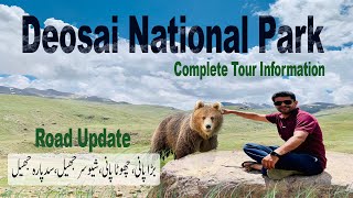 Deosai National Park  The Land of Giants  Raod Journey to Deosai National Park amp Sheosar Lake [upl. by Eiralam]