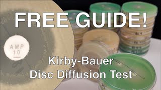 Disc Diffusion Guide [upl. by Marti]