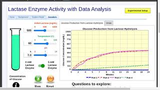 Lactase Enzyme Activity with Data Analysis Simulation [upl. by Greg462]