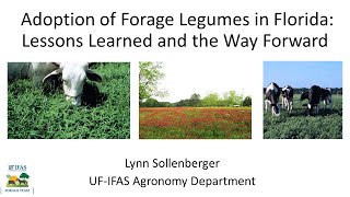 1 Adoption of Forage Legumes in Florida [upl. by Euqinue]