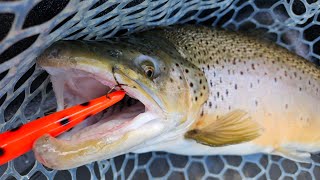 STICKN IT TO SPRING BROWNS March Lake Ontario Trolling [upl. by Jaela103]