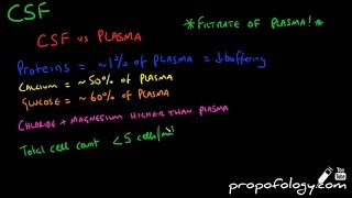 CSF  Cerebrospinal Fluid in 7 minutes Physiology [upl. by Gerdy]